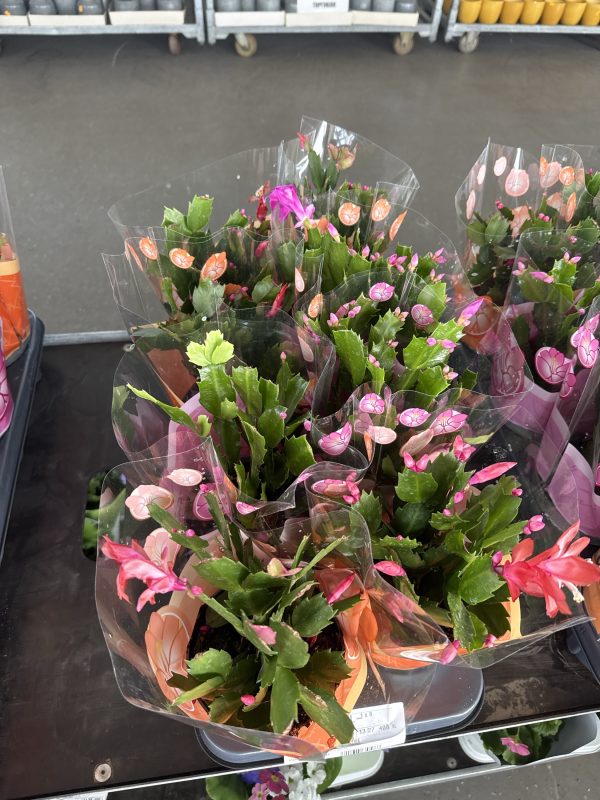 ШЛЮМБЕРГЕРА МИКС Х 8