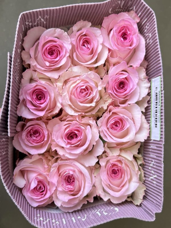 Mandala-Bella-Rosa.jpg МАНДАЛА 60